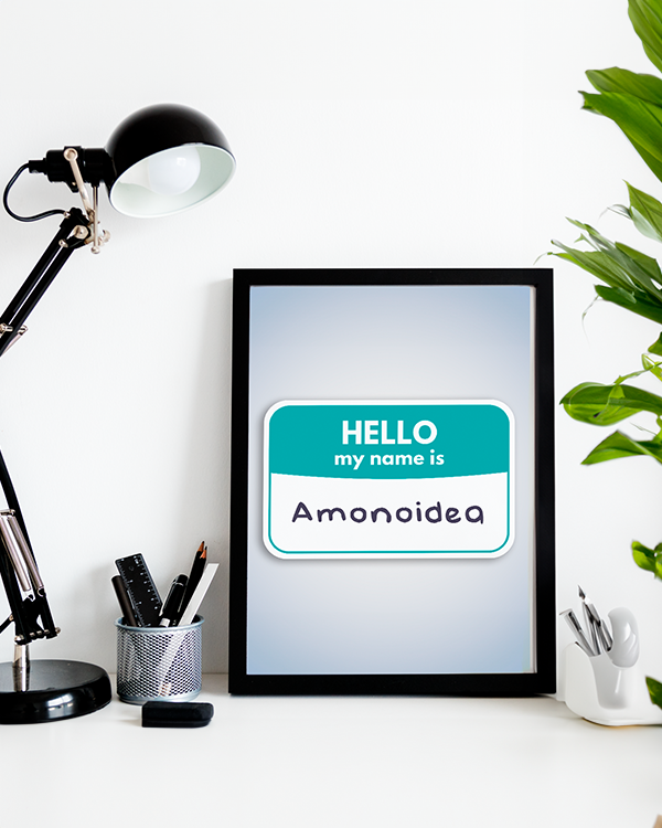 Hello Amonoidea